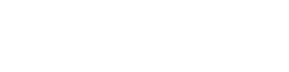 Kompetenz aus Liechtenstein