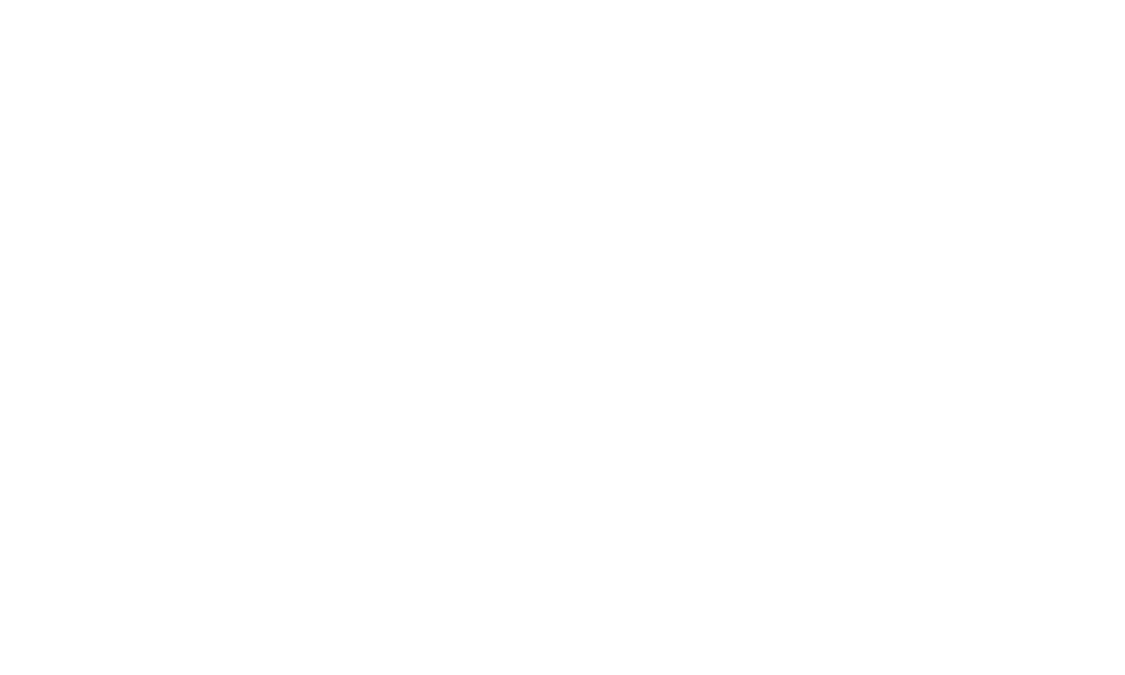 Kompetenz aus Liechtenstein